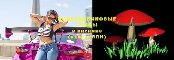 дживик Балахна
