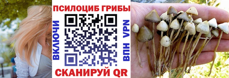 Галлюциногенные грибы Psilocybine cubensis  Севск 